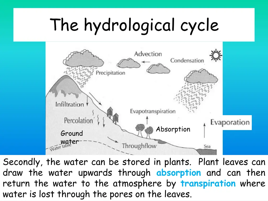 the hydrological cycle 6