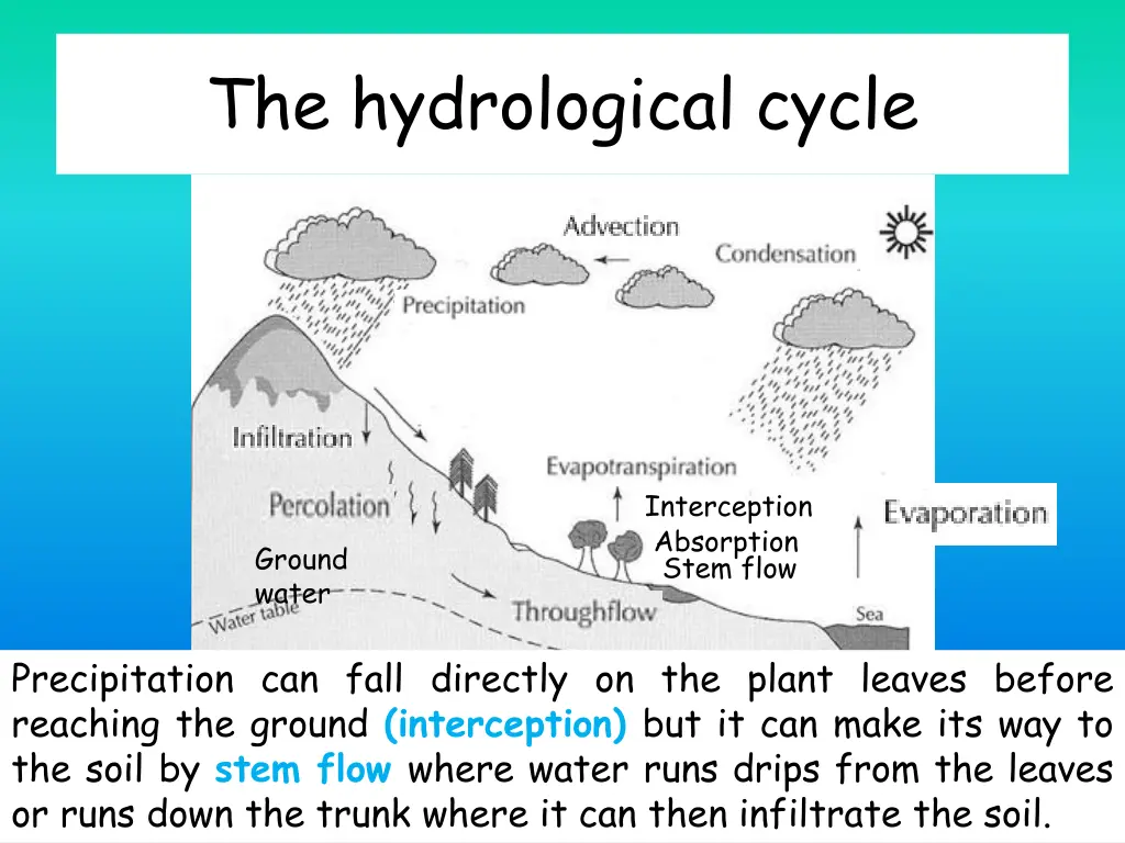 the hydrological cycle 7