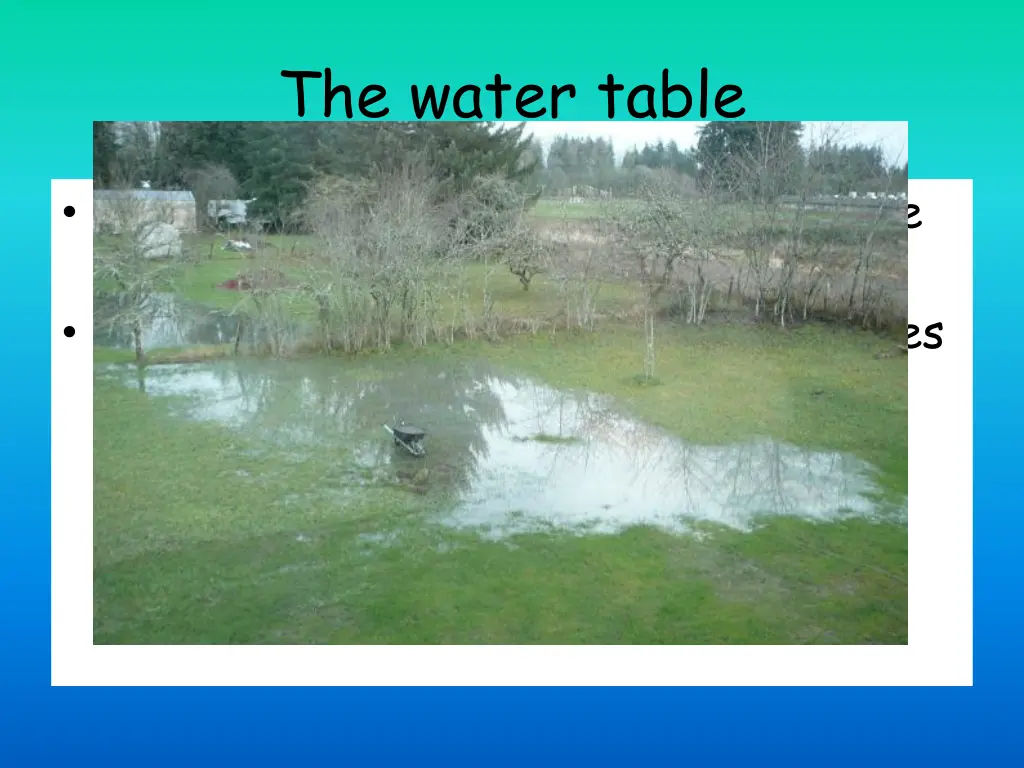 the water table