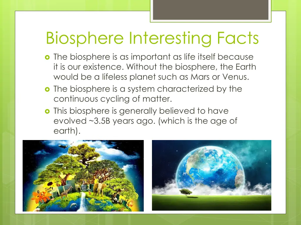 biosphere interesting facts