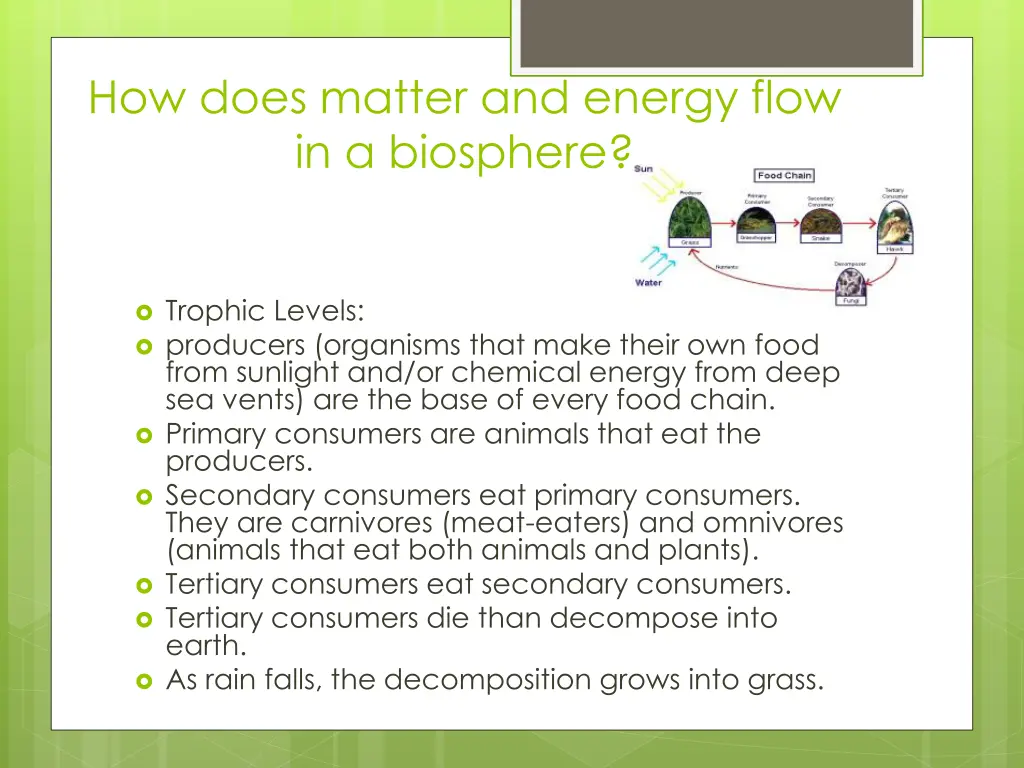 how does matter and energy flow in a biosphere