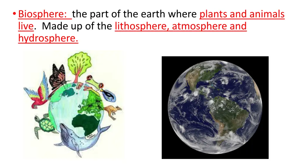 biosphere the part of the earth where plants