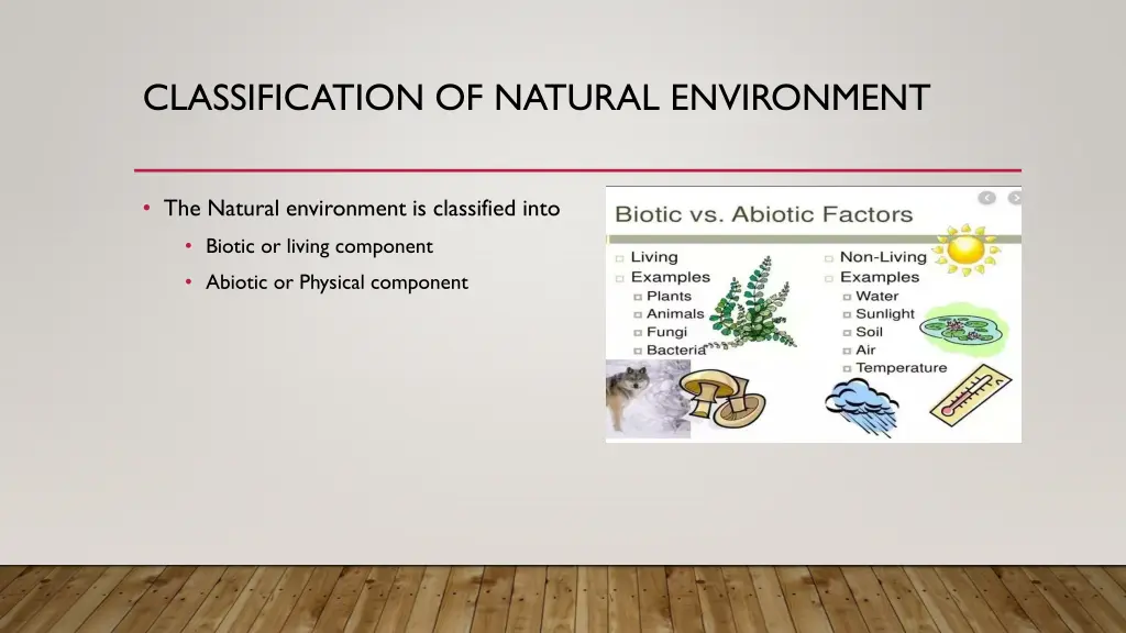 classification of natural environment