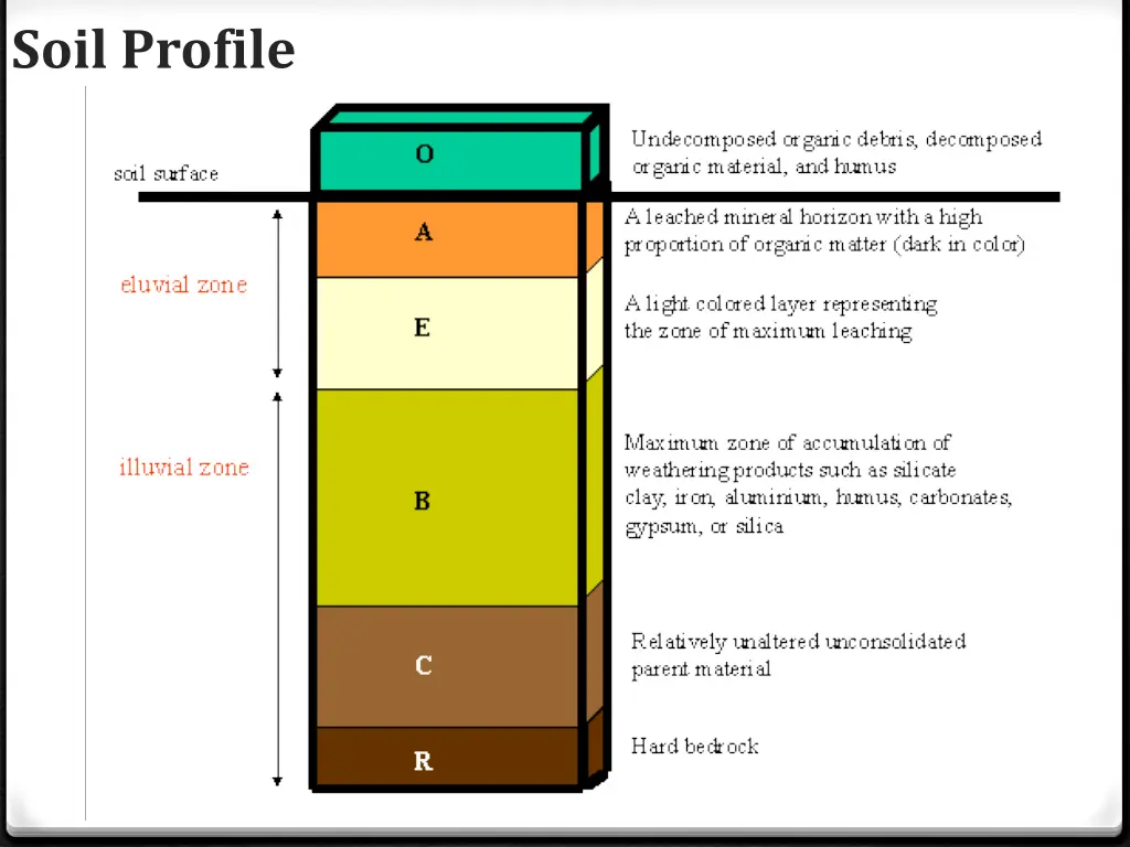 soil profile