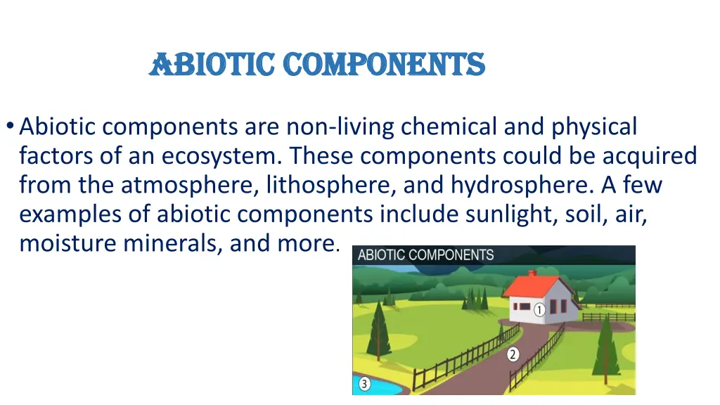 abiotic components abiotic components