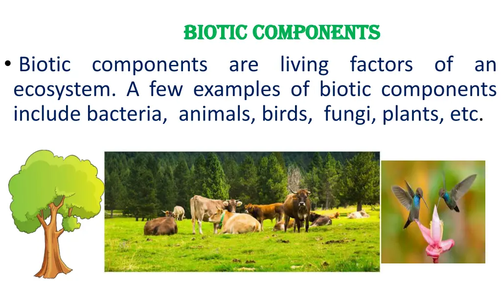 biotic components biotic components