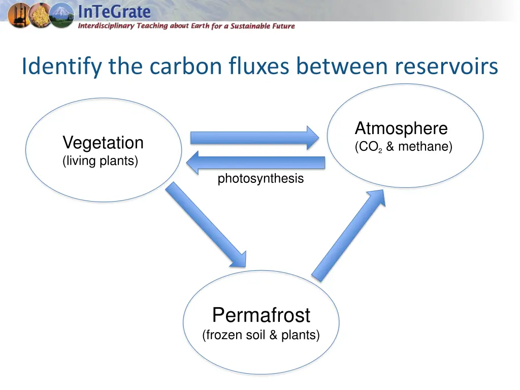 identify the carbon fluxes between reservoirs 1