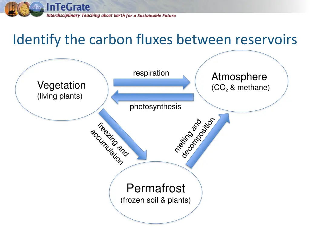 identify the carbon fluxes between reservoirs 2