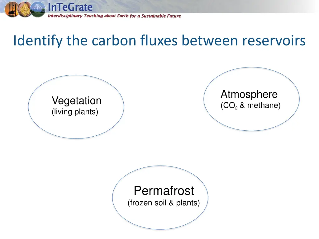 identify the carbon fluxes between reservoirs