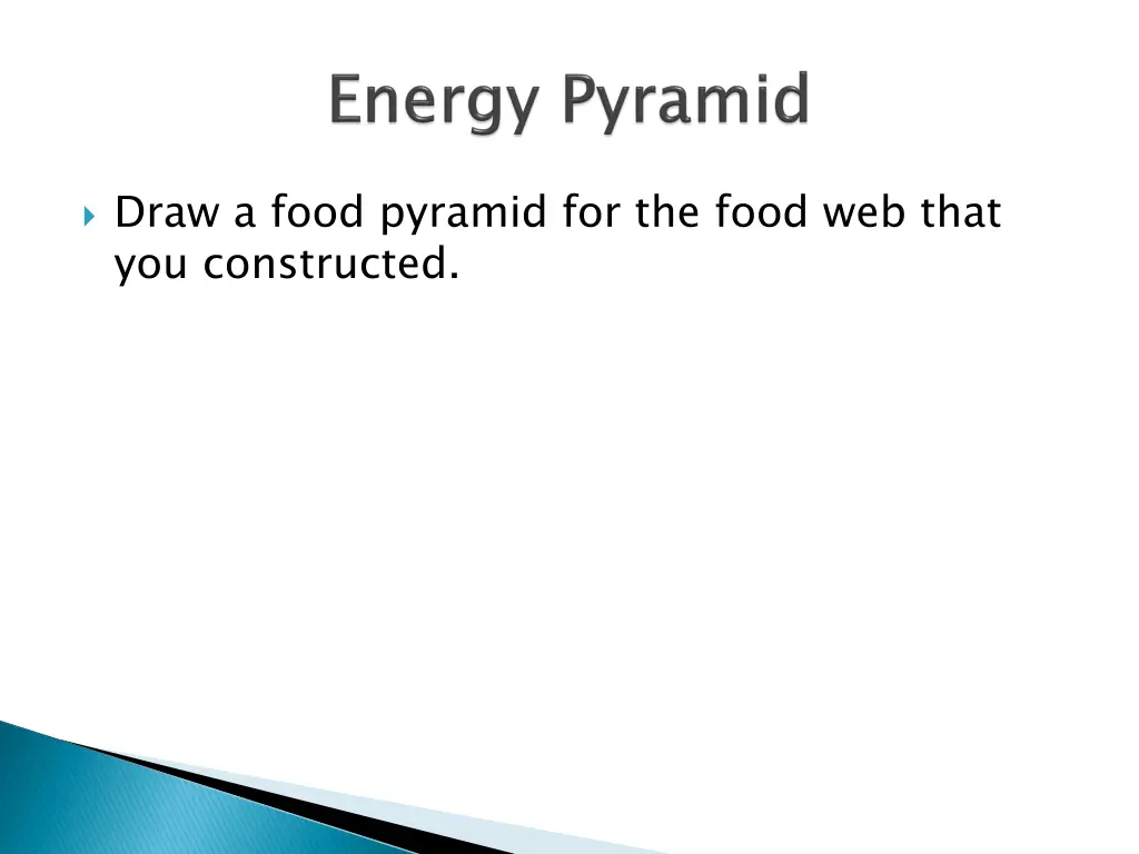 draw a food pyramid for the food web that