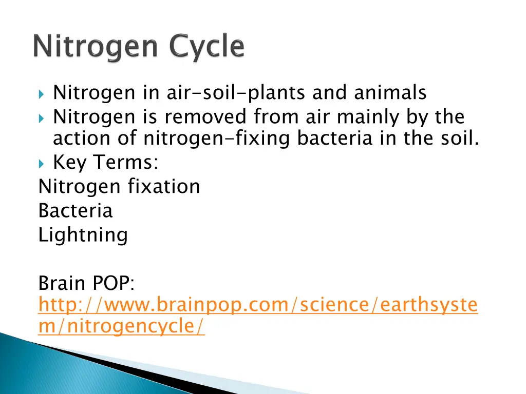 nitrogen in air soil plants and animals nitrogen