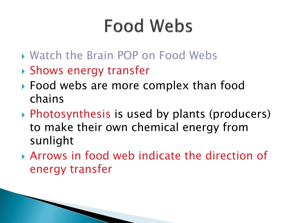 watch the brain pop on food webs shows energy