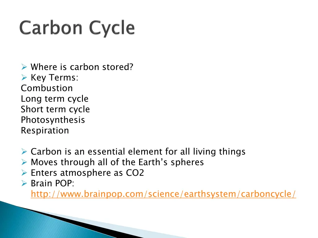 where is carbon stored key terms combustion long