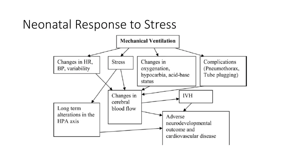 neonatal response to stress