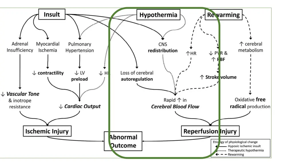 slide6