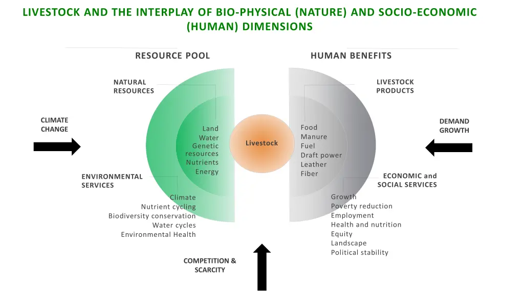 livestock and the interplay of bio physical