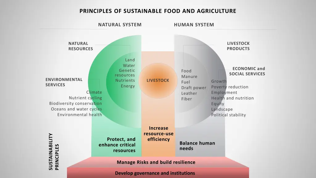 principles of sustainable food and agriculture