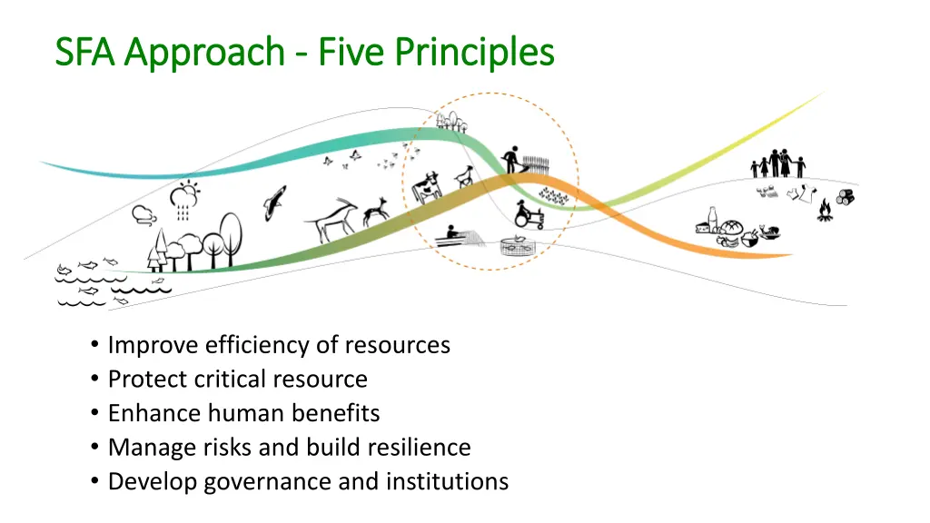 sfa approach sfa approach five principles