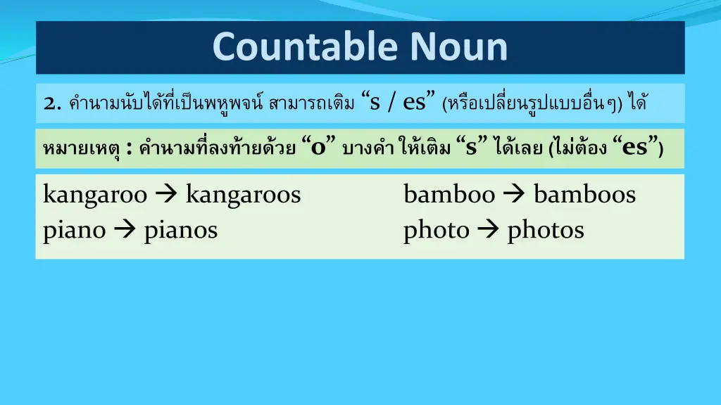 countable noun 4