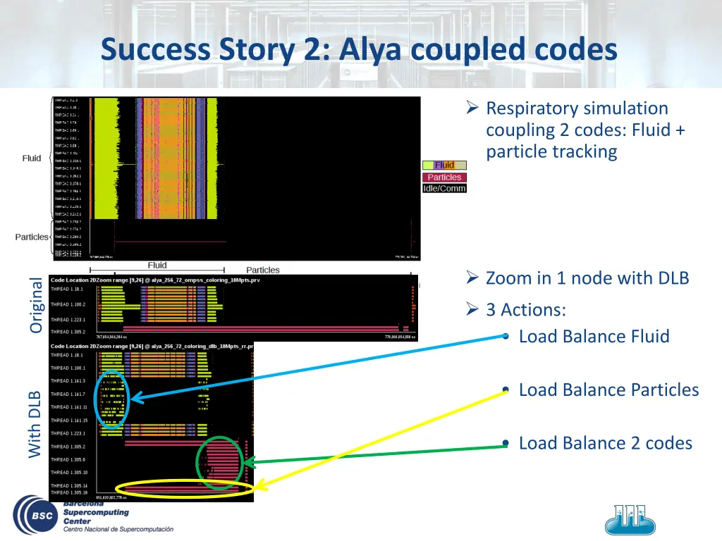 success story 2 alya coupled codes