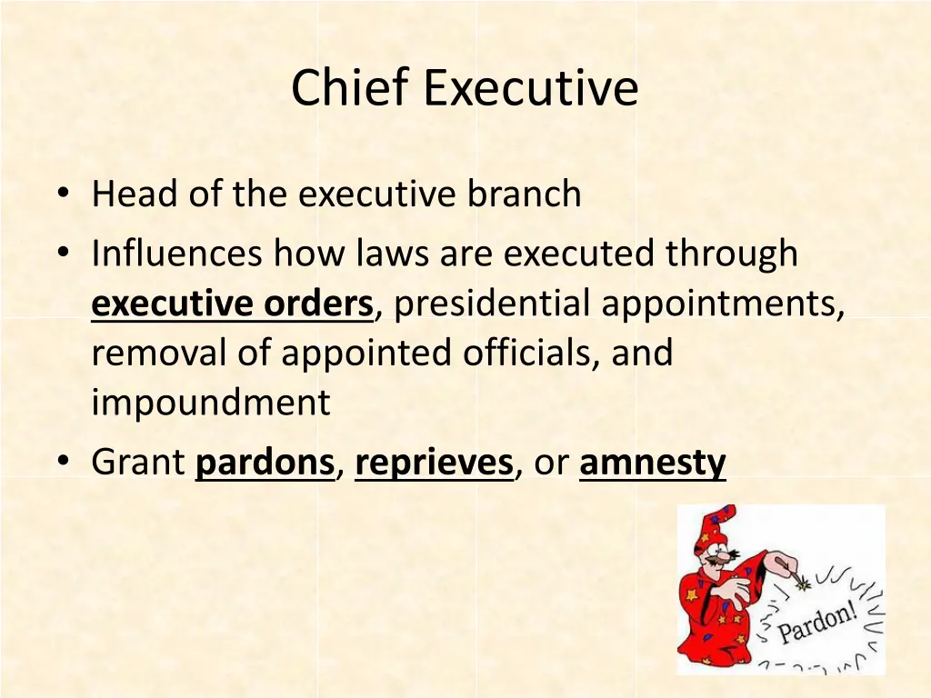 chief executive