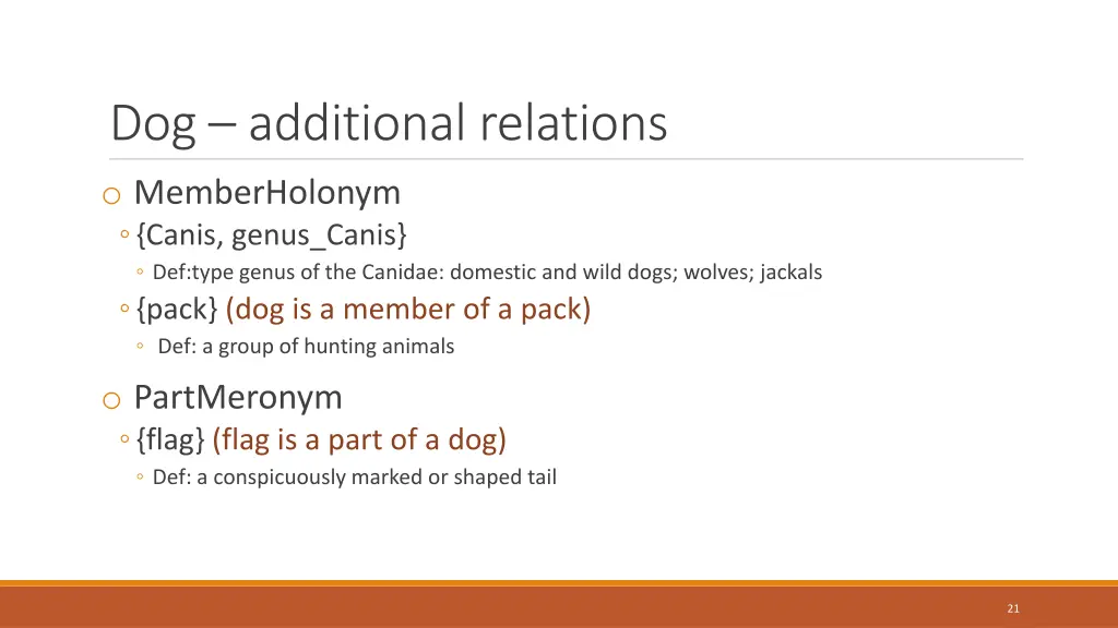 dog additional relations o memberholonym canis