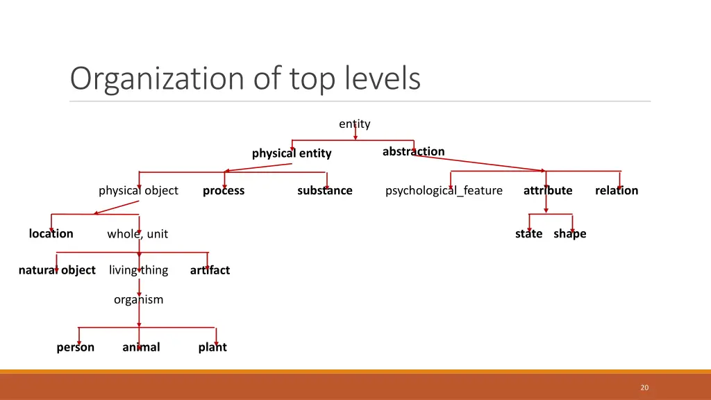 organization of top levels