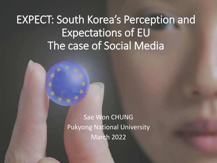 expect south korea s perception and expect south