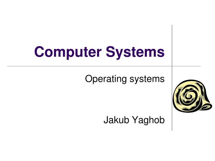 computer systems