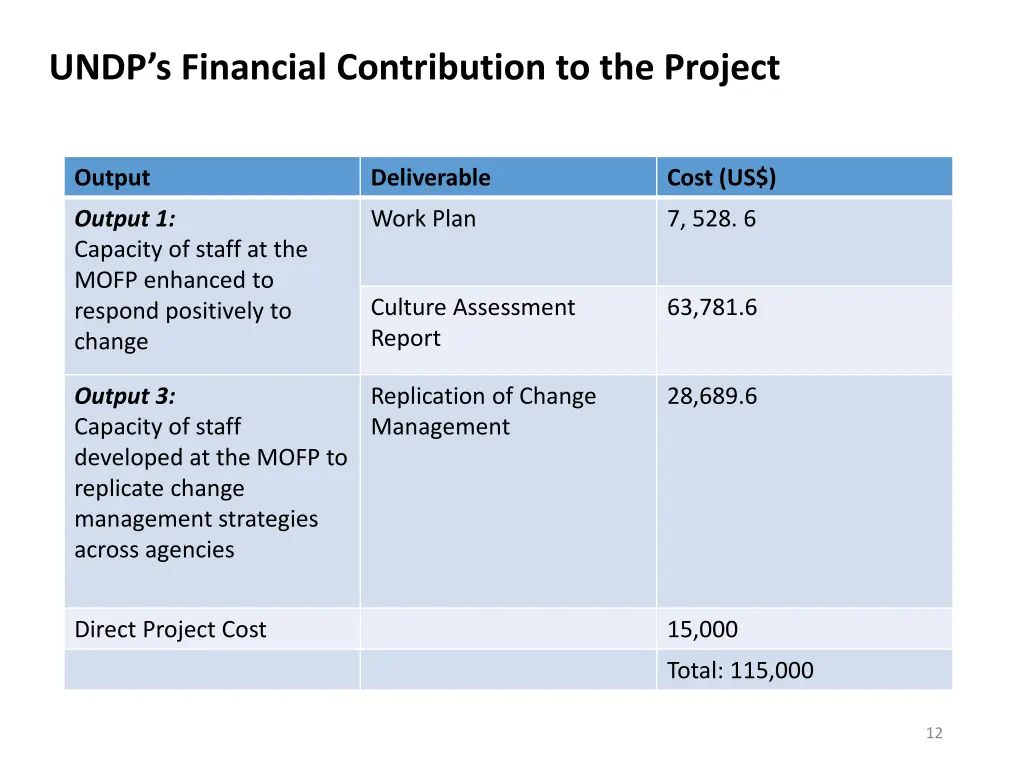 undp s financial contribution to the project