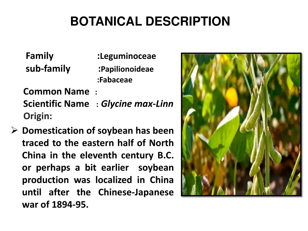 botanical description