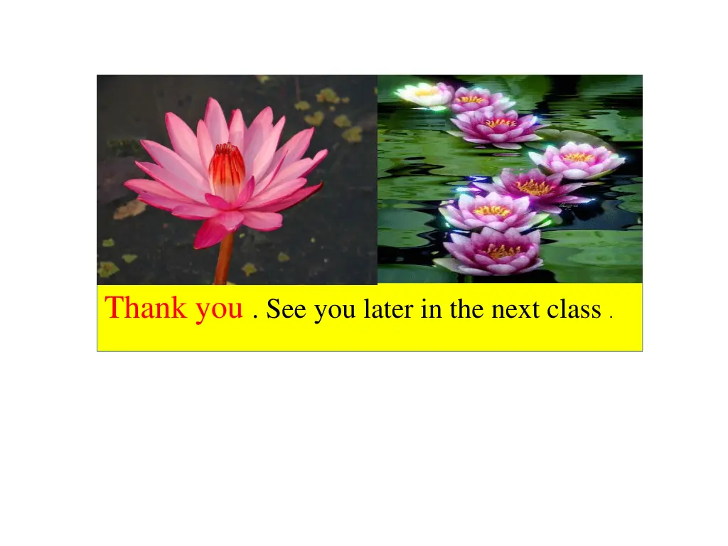 thank you see you later in the next class