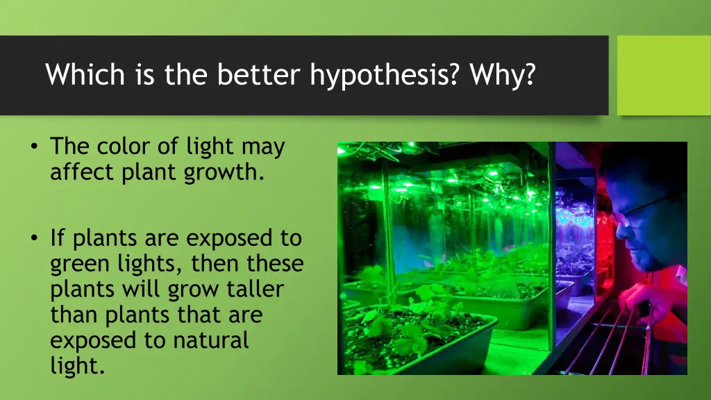 which is the better hypothesis why