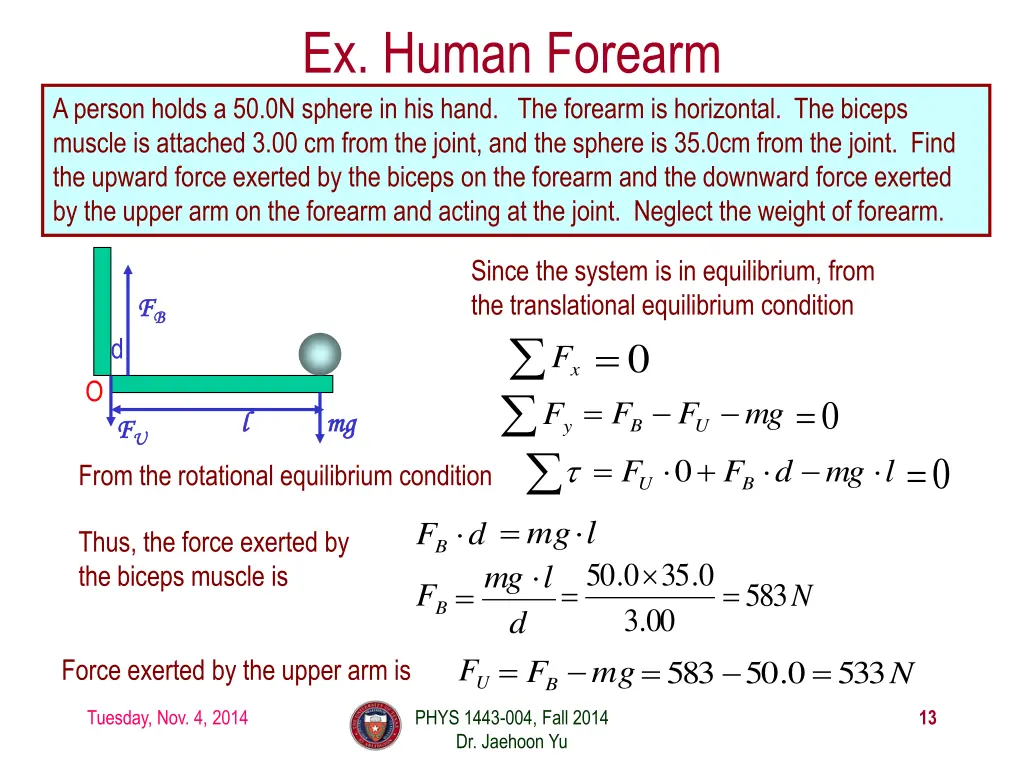 ex human forearm