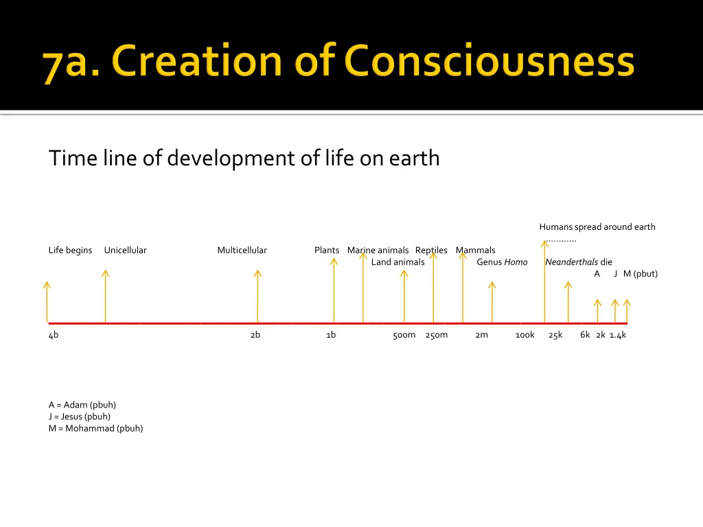 time line of development of life on earth