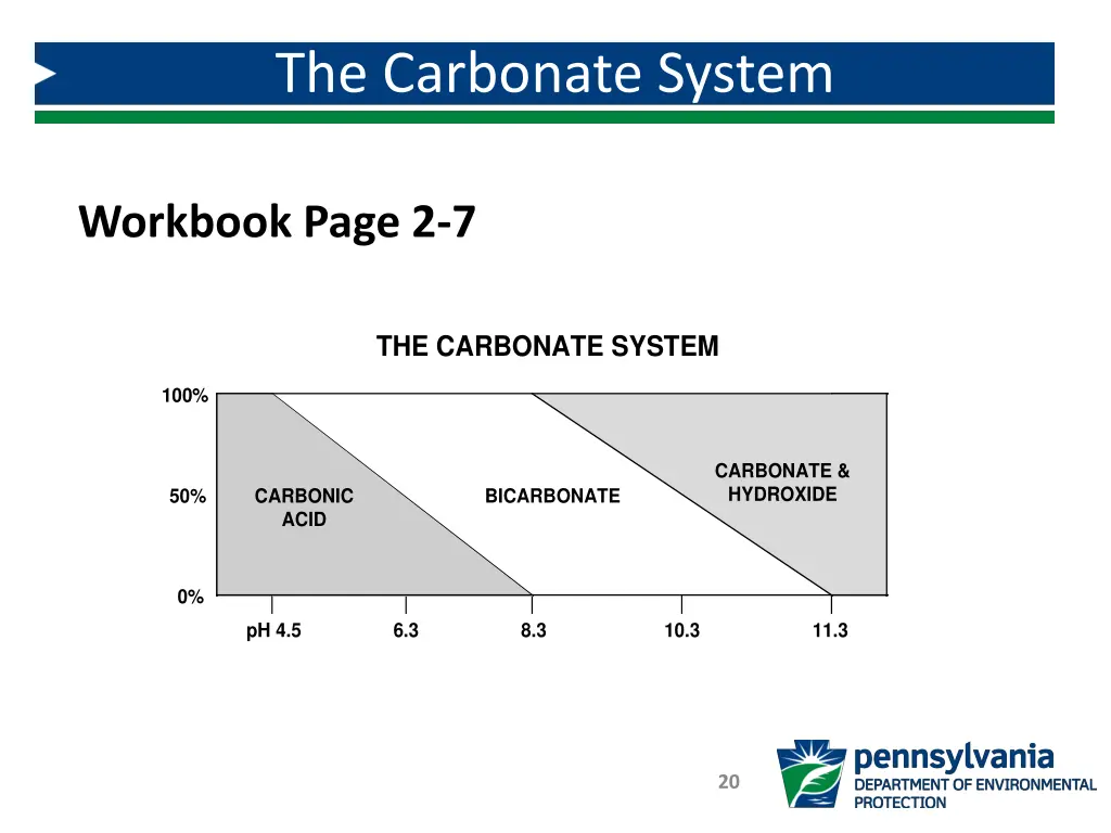 the carbonate system