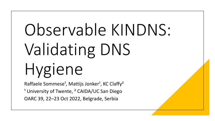 observable kindns validating dns hygiene raffaele