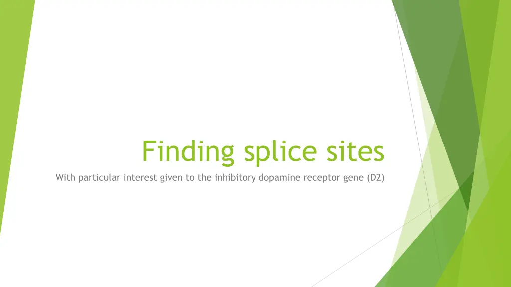 finding splice sites with particular interest