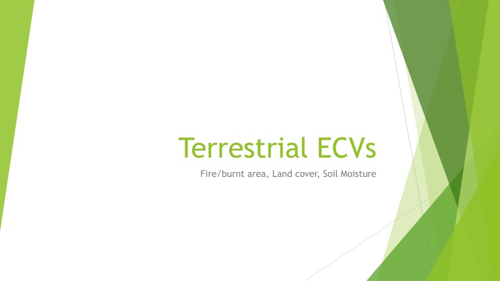 terrestrial ecvs fire burnt area land cover soil