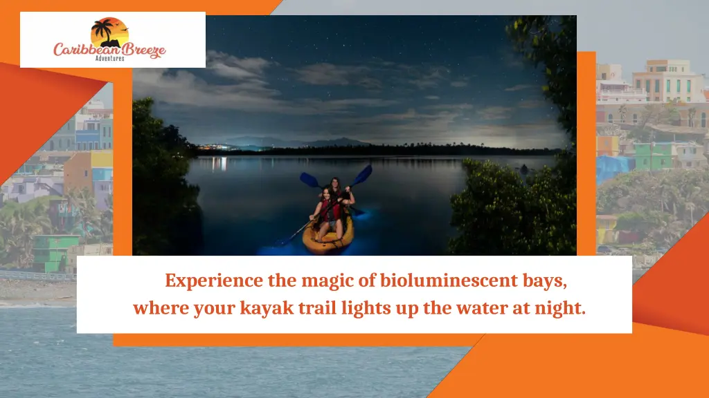 experience the magic of bioluminescent bays where