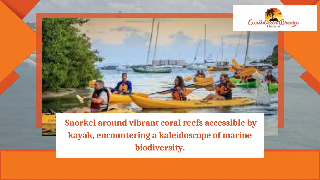 snorkel around vibrant coral reefs accessible