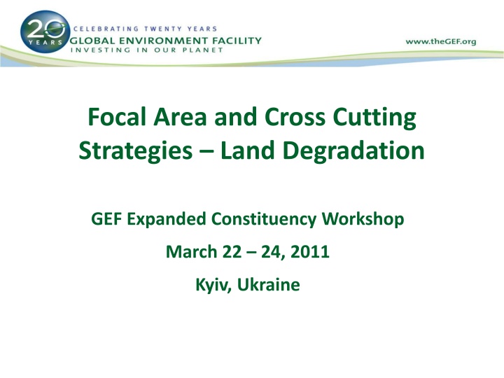 focal area and cross cutting strategies land