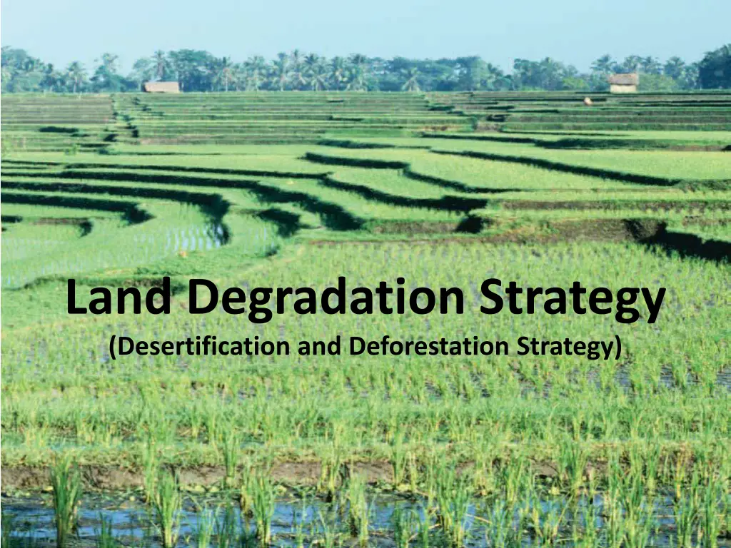 land degradation strategy desertification