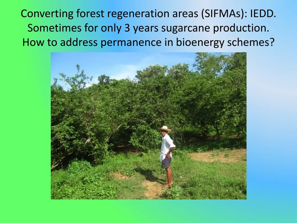 converting forest regeneration areas sifmas iedd