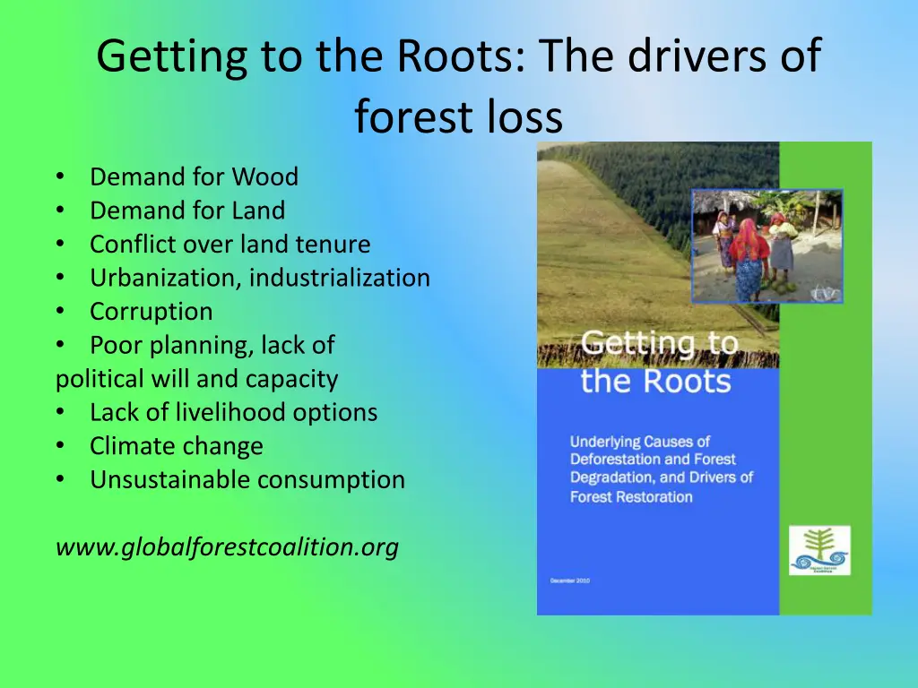 getting to the roots the drivers of forest loss