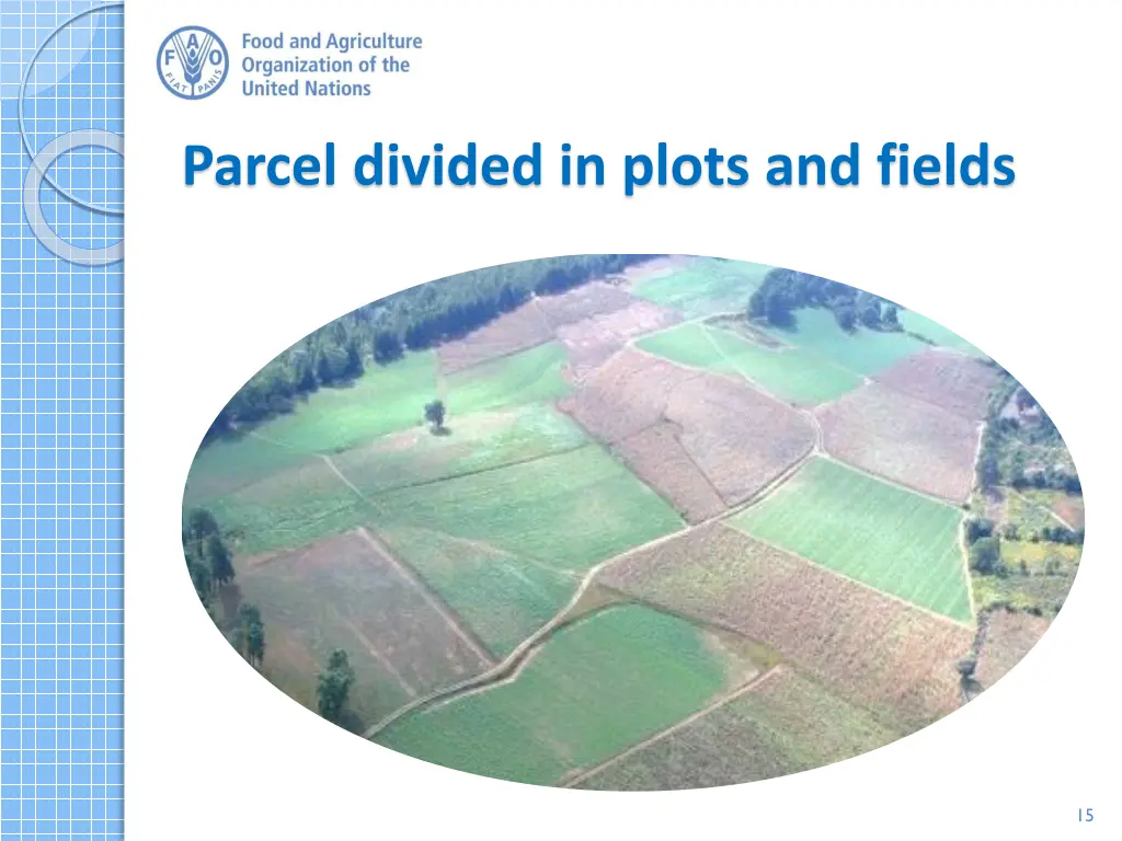 parcel divided in plots and fields