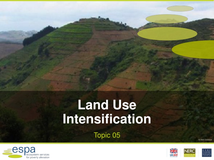 land use intensification