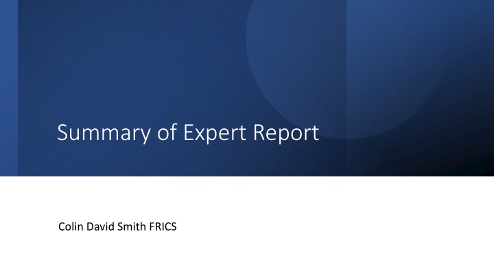 summary of expert report