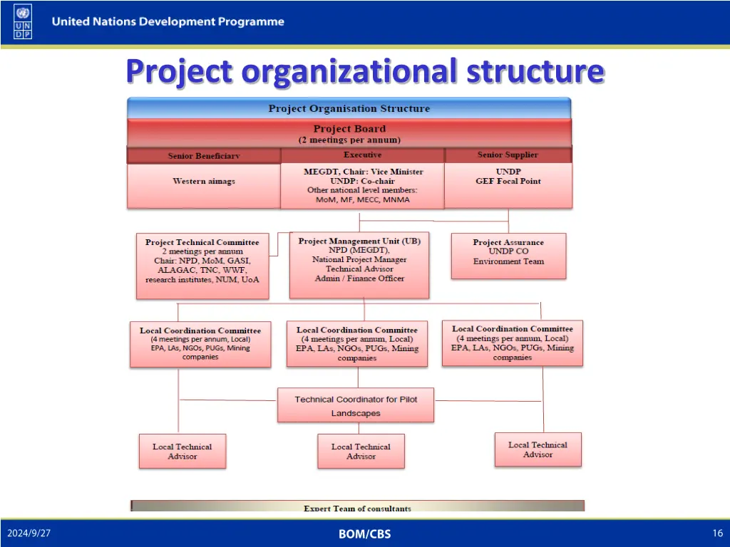 project organizational structure