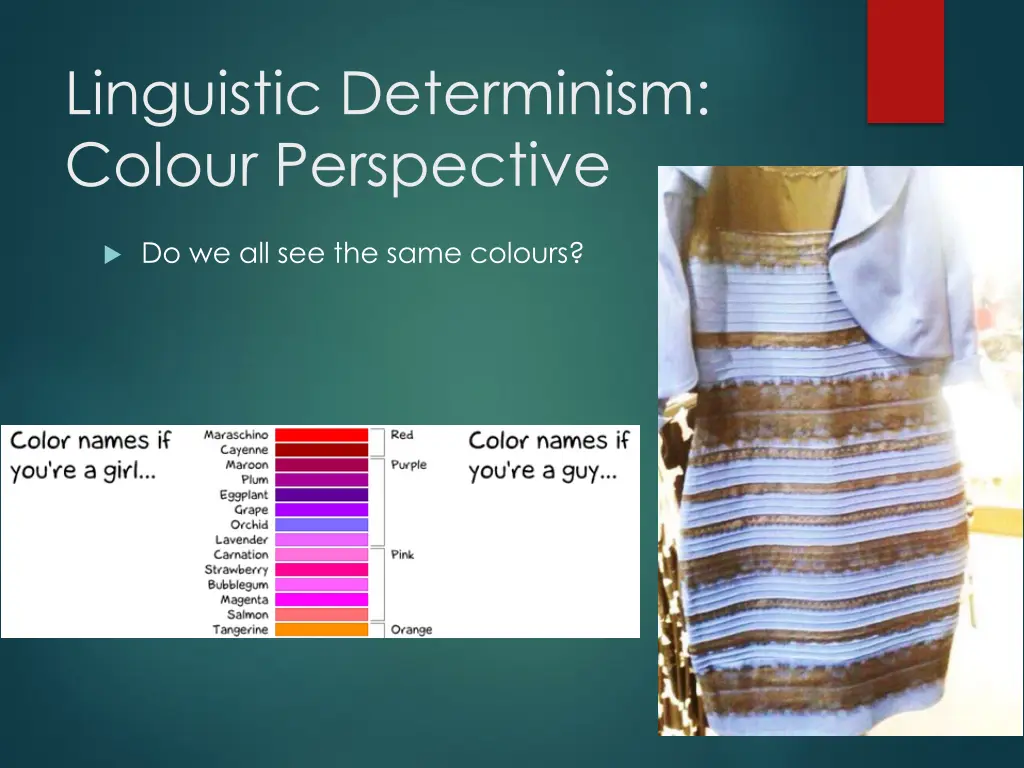 linguistic determinism colour perspective